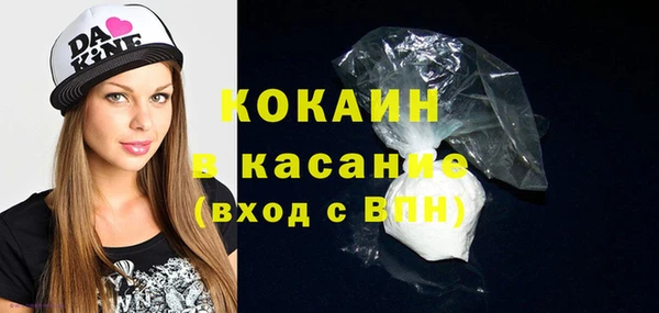дмт Ельня