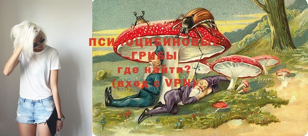 Альфа ПВП Алзамай