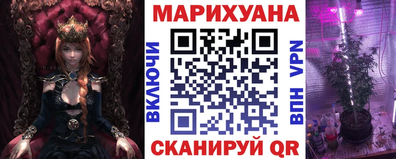 как найти наркотики  Вытегра  Марихуана Amnesia 